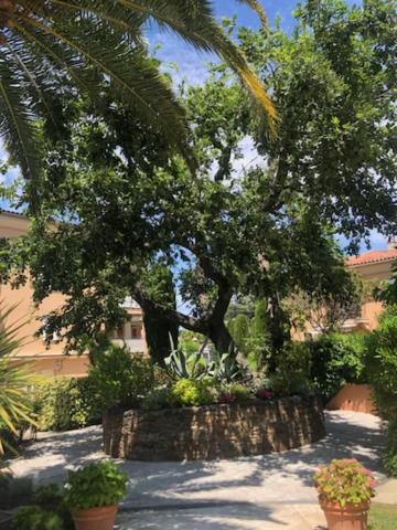 Belle Residence Au Centre De Saint Tropez Avec Piscine Et Garage Exteriér fotografie